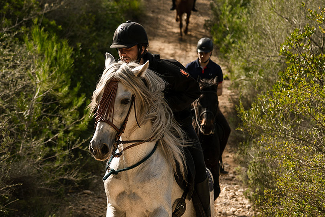 Horseback adventure in Mallorca’s rural and natural landscapes