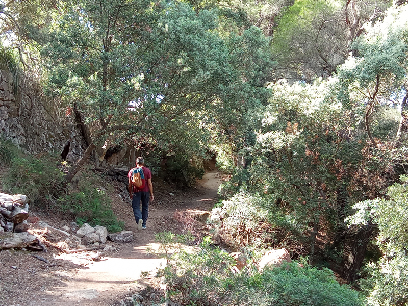 An exceptional Coastal Trek: The Hidden Beauty of our Mountain Range