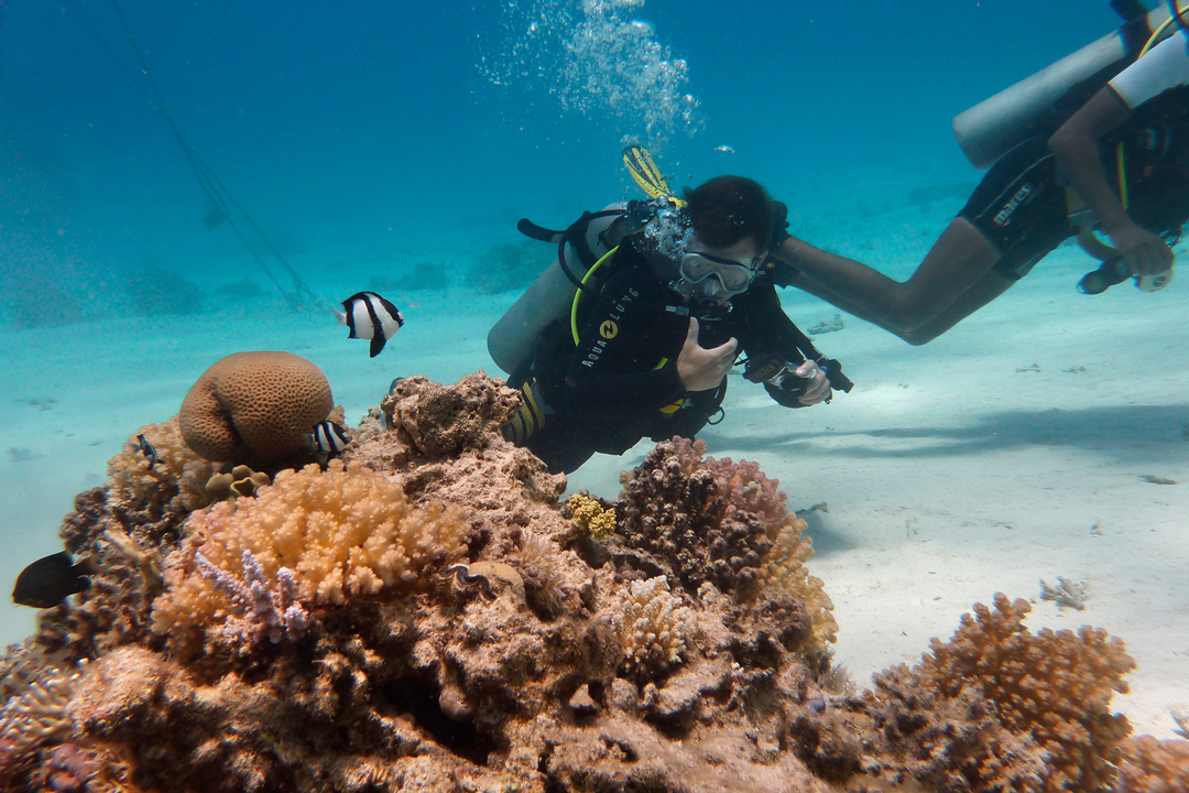 Diving in Santa Ponsa