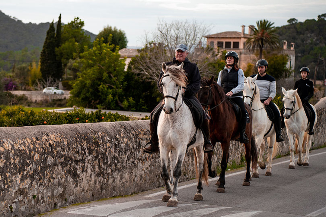 Horseback adventure in Mallorca’s rural and natural landscapes