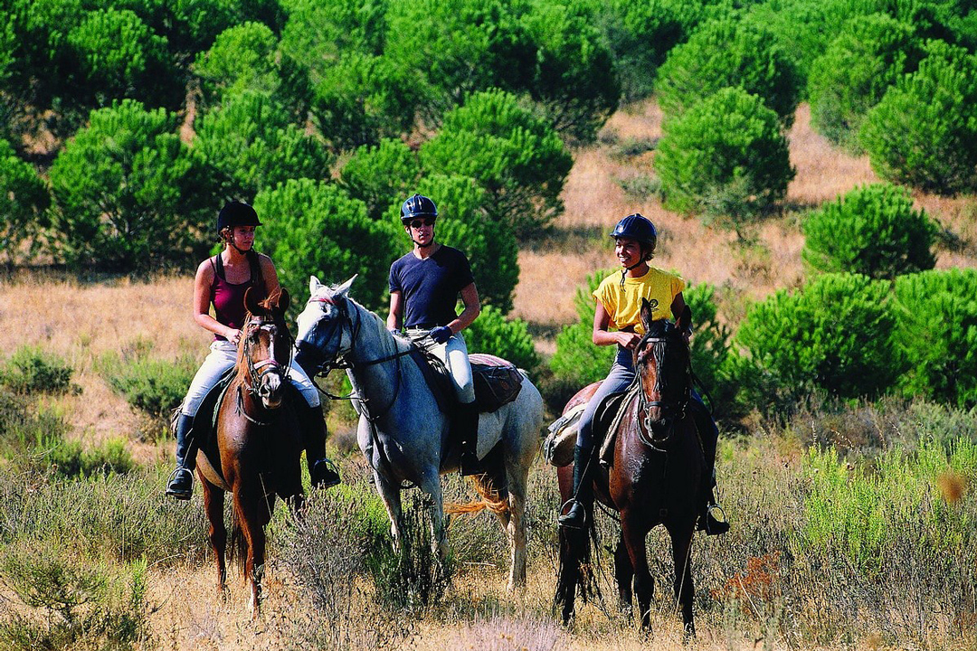 Exclusive Horseback journey through Sierra de Na Burguesa