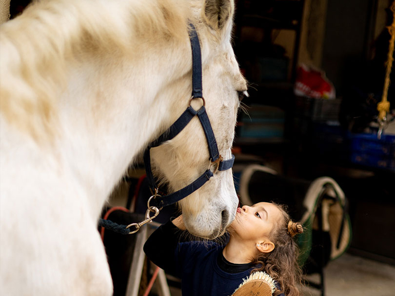Initiation to the Equestrian World with a Purebred Spanish Horse