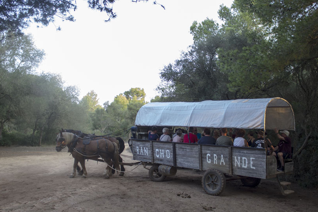 Rancho Grande – Horseback Riding Adventure in Mallorca Rancho Grande – Horseback Riding Adventure in Mallorca
