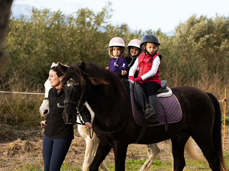 Initiation to the Equestrian World with a Purebred Spanish Horse