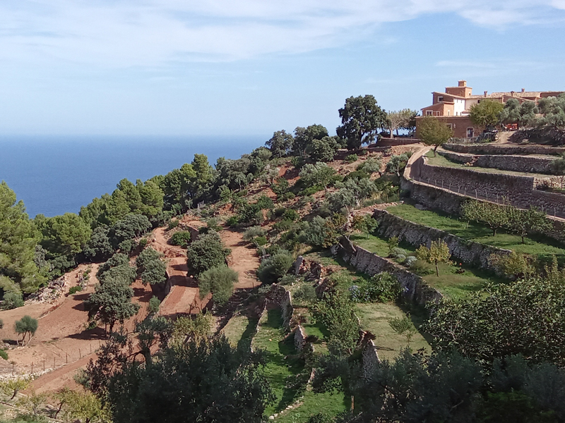 An exceptional Coastal Trek: The Hidden Beauty of our Mountain Range